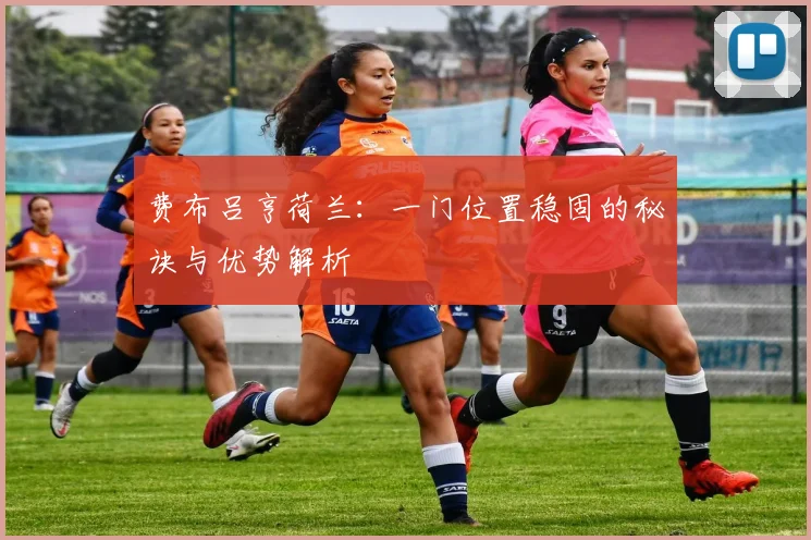 费布吕亨荷兰:一门位置稳固的秘诀与优势解析