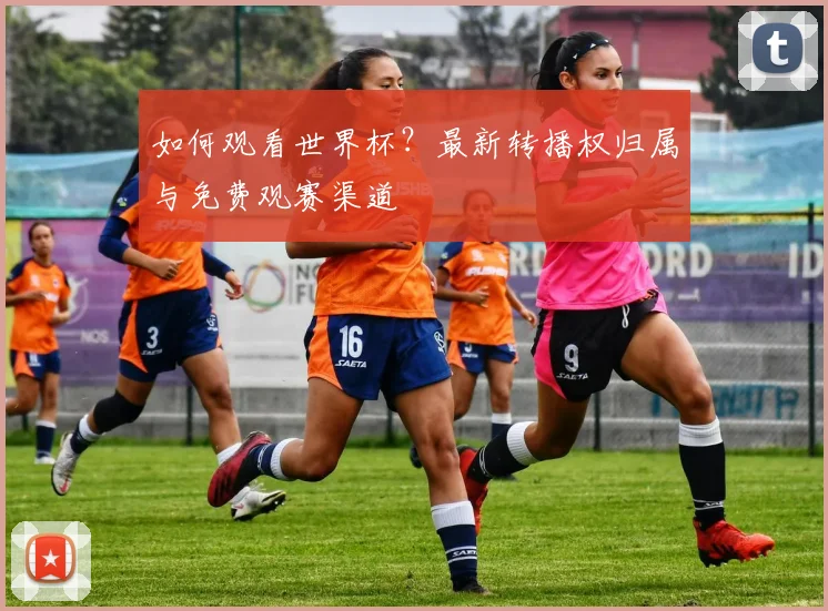 如何观看世界杯?最新转播权归属与免费观赛渠道